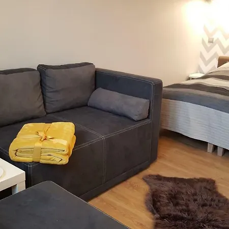 شقة Centrum Ratusz تشينستوخوفا